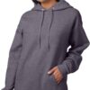 Hanes Men's EcoSmart Fleece Hoodie Sweatshirt