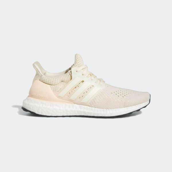 adidas Women's Ultraboost 1.0 Shoe