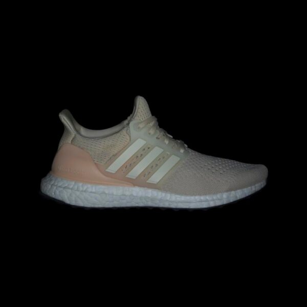 adidas Women's Ultraboost 1.0 Shoe