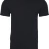 Next Level Apparel Men's N6210