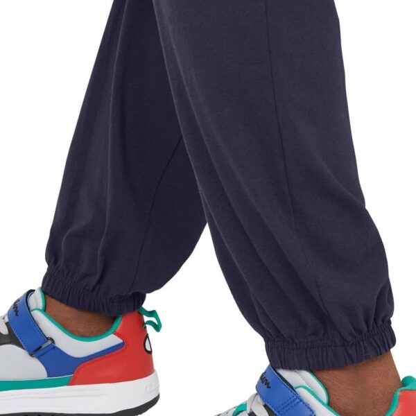 Champion Men's Pants, Lightweight Lounge, Jersey Knit Casual Pants for Men (Reg. or Big & Tall)