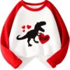 Kids Valentines Day Shirt Boys Girls Valentine's Monster Truck Dinosaur Heart Graphic Tees Raglan Toddler Long Sleeve Tops