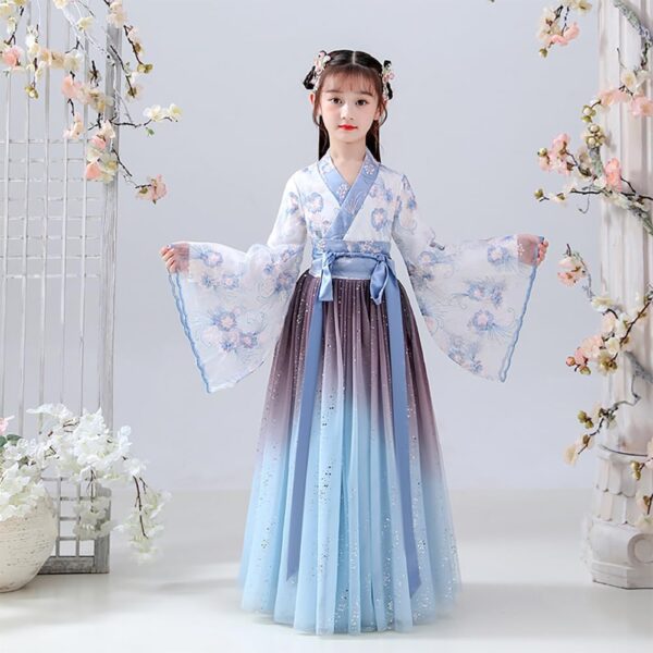 Deluxe Hanfu Chinese Costume For Girls,Kids Tang Dynasty Traditional Floral Embroidery Princess Dress.