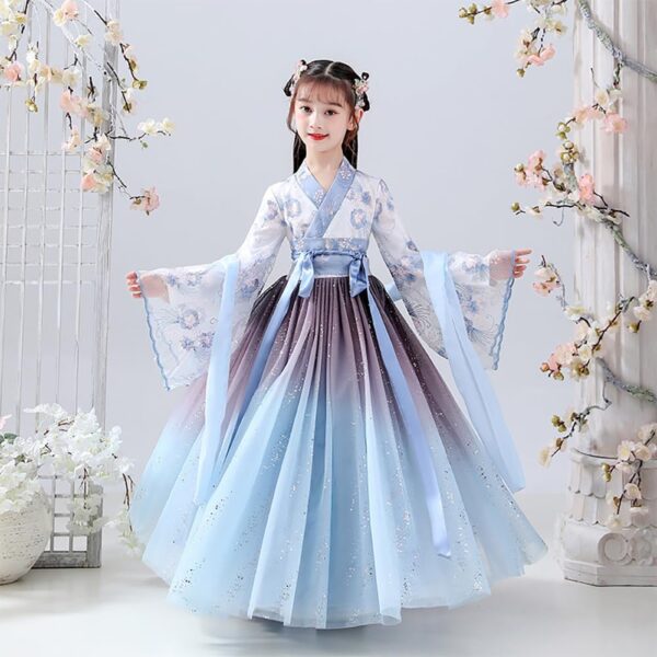 Deluxe Hanfu Chinese Costume For Girls,Kids Tang Dynasty Traditional Floral Embroidery Princess Dress.