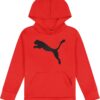 PUMA Boys' Logo Pullover Hoodie