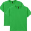 Gildan Youth Heavy Cotton T-Shirt, Style G5000B, 2-Pack