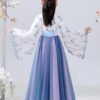 Deluxe Hanfu Chinese Costume For Girls,Kids Tang Dynasty Traditional Floral Embroidery Princess Dress.