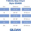 Gildan Adult Heavy Cotton Long Sleeve T-Shirt, Style G5400, 2-Pack