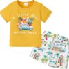 YUEMION Toddler Baby Boy Summer Outfit 1-5T Baby Boy Clothes Short Sleeve T-Shirts Top + Shorts 2Pcs Boy Clothing Casual Set