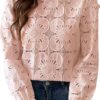 CUPSHE Women Eyelet Long Sleeve Tops Shirts Dressy Hollow Out Crochet Lace Embroidered Blouses 2025 Fashion