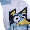 Bluey Boys Kids Socks