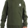 Carhartt Boys' Hoodie Fleece Pullover Sweatshirt