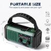 10000mAh Crank Radio, Emergency Radio, Solar Radio, NOAA/AM/FM Weather Radio, USB Type-C Charging, Dynamo Radio, Polymer Battery, Torch & LED Reading Light, SOS Alarm, Compass for Camping