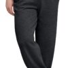 Hanes ComfortSoft EcoSmart Men's Fleece Sweatpants