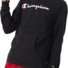 Champion Men's Hoodie, Midweight T-shirt Hoodie, Soft and Comfortable T-shirt Hoodie for Men