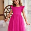 Arshiner Toddler Tutu Dress Little Girls Fluffy Summer Dresses Casual Party Tulle Sundress for Kids 2-6Y